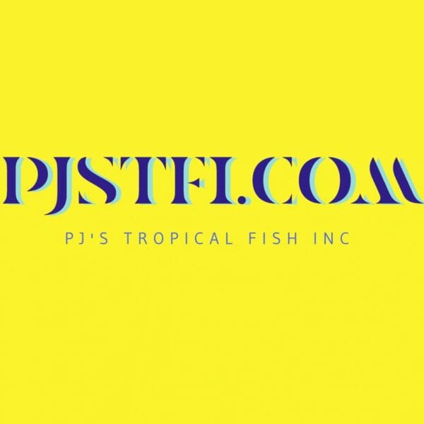 A yellow background with the words pj 's tropical fish inc.