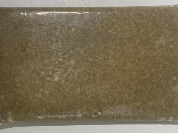 FROZEN Mysis Shrimp -17oz/min Flat